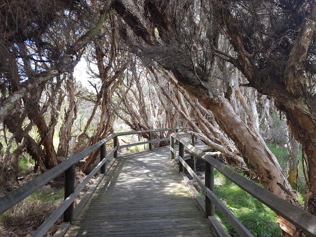 Big Swamp Wildlife Park Playground